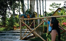 & La De Lobo Iquitos 3*